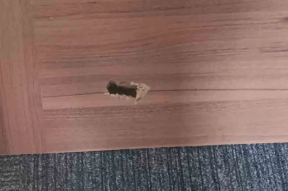 İl Genel Meclisinin kapısını kırdılar