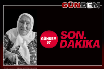 Çaycuma asırlık bir çınarını kaybetti!