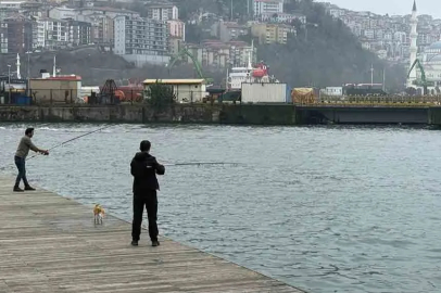 Oltasını alan sahile geldi!