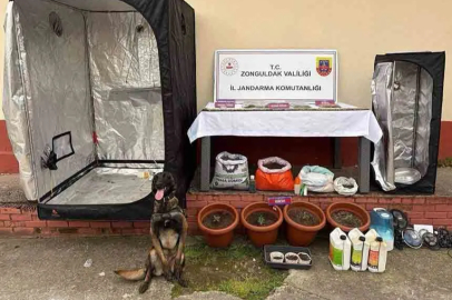 Yasaklı Madde Operasyonu: 2 Kişi Tutuklandı