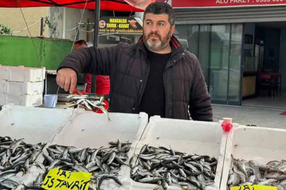 Zonguldak'ta tezgahlarda istavrit bolluğu!