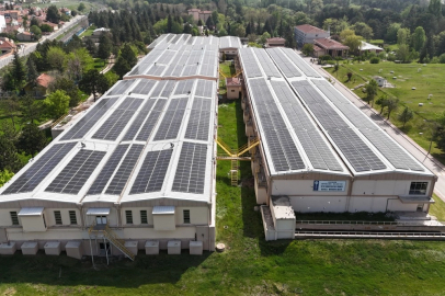 854 ton karbon salınımı önlenerek 34 bin ağaç korundu