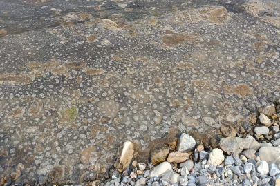 Ilıksu Plajı’nda Alarm!