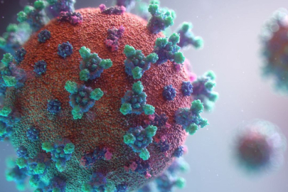 Minikleri tehdit eden virüs; Rota virüsü