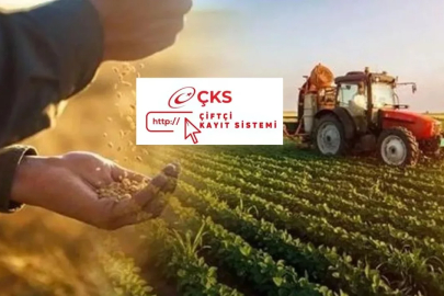 Çiftçilere %75 Hibeli Fide Desteği Başlıyor!