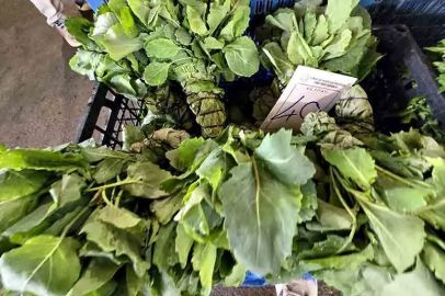 Zonguldak’ta tezgahlarda fidelere ilgi arttı!