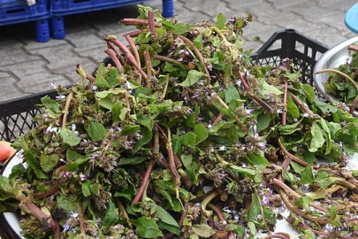 Kaldirik (Zılbıt) tezgahlarda, fiyatı neredeyse bedava