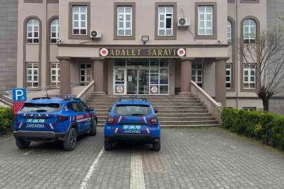 Alaplı'da süs bitkisi bahçesinde uyuşturucu özellikli kaktüs ele geçirildi!