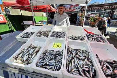 Balık yasağı sonrası tezgâhlarda değişim!