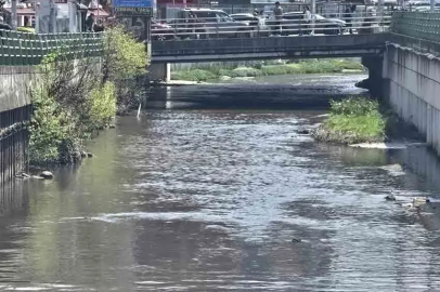 Zonguldak’ta kent merkezindeki dere tepki çekiyor!