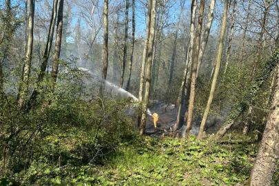 Orman yangını kabusu erken başladı!