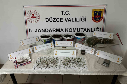 Saksıda kenevir yetiştiren şahıs gözaltına alındı!