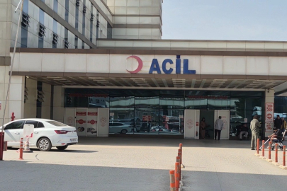 Baharla birlikte gelen kabus Günlük hayatı olumsuz etkiliyor, geceleri uyutmuyor