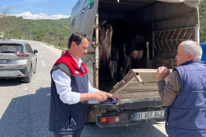 Hayvan sevki denetim altında!