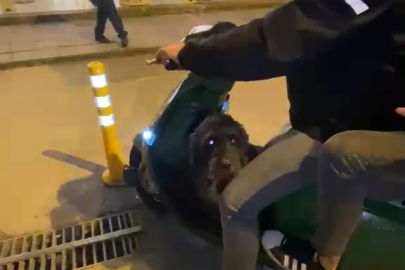 Sokak köpeğinin motor sevdası!
