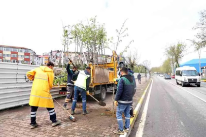 Milli Egemenlik Caddesi’ne ıhlamur dokunuşu!