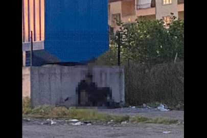 Kdz.Ereğli’de İnsanlık Dışı Olay!