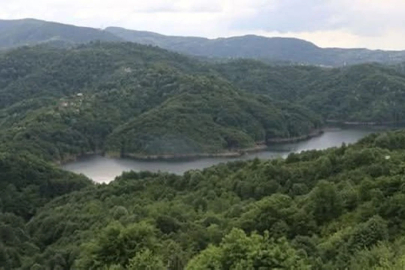 Zonguldak’ta altın madeninin bulunma olasılığı ne kadardır?