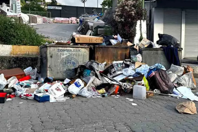Zonguldak’ın göbeğinde çöp tepkisi: “Bu ne hal?”