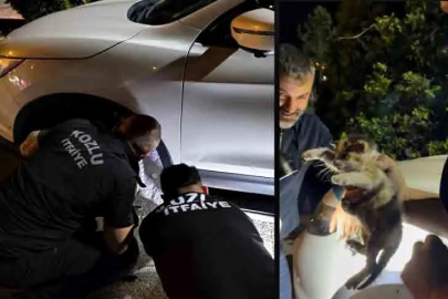Motor Kısmına Sıkışan Yavru Kedi Kurtarıldı!