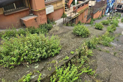 Zonguldak'ta Çarşının Göbeği Ormana Döndü!