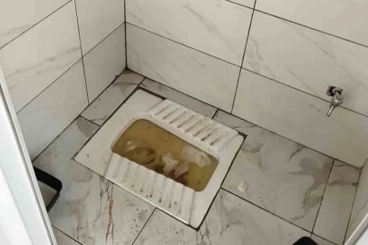 Kozlu Sahilinde Tuvalet İsyanı!