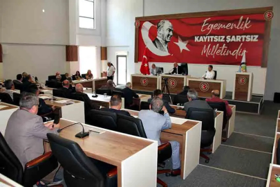 Alaplı Fındıklı Köyü’ne Villa Projesi: İl Genel Meclisi’nde İmar Mesaisi Başladı
