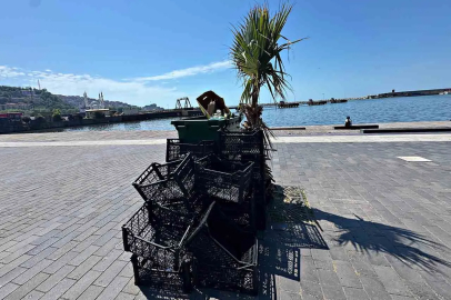 Zonguldak Sahilinde "Bank" sorunu!