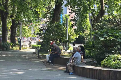 Sahilden kaçtılar gölgeye sığındılar!