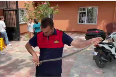 Sağlık ocağına giren yılan panik yarattı!