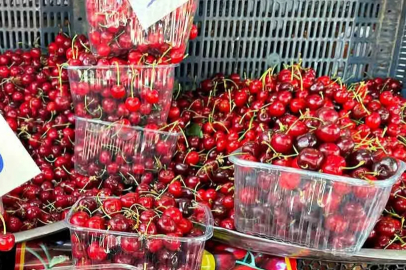 Zonguldak'ta kiraz bolluğu tezgahlara yansıdı!