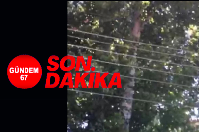 İncivez Mahallesi’nde elektrik telleri tehlike saçıyor