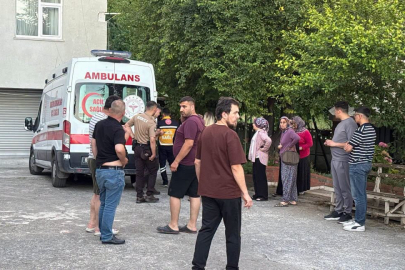 Dut toplarken ağaçtan düşen bir kişi ağır yaralandı