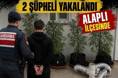 Eve kurduğu sistemle kenevir yetiştiren 2 şüpheli yakalandı