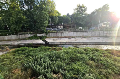 Kanalizasyon Kokusu Vatandaşı Canından Bezdirdi!
