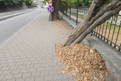 Zonguldak Sokaklarında Sonbahar Manzarası: Ekiplerin "Yaprak" Mesaisi Başladı