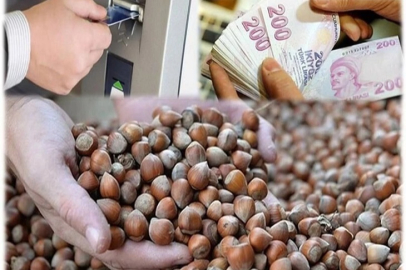 5 BİN 981 TON FINDIK İHRACATI
