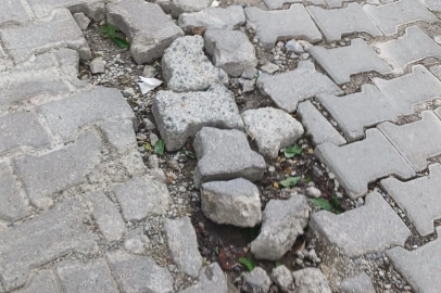 Sahilden mahallelere çık git bir gör!