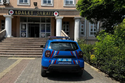 Alaplı’da kenevir operasyonu!