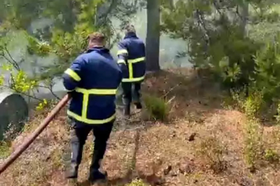 Bahçe temizliği az kalsın felakete yol açıyordu!