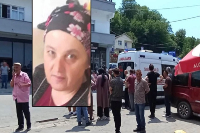 ARI SOKMUŞTU, YAŞAM SAVAŞINI KAYBETTİ!