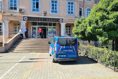Alaplı'da bahçeye ekilen 32 kök kenevir ele geçirildi!