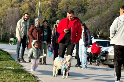 Kozlu Sahili’nde “Zeytin” sürprizi! Görenler dönüp bir daha baktı