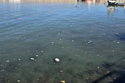 Sağanak yağışın ardından Zonguldak Limanı çöple kaplandı!
