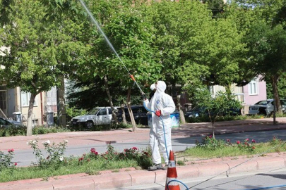 SARIKORKMAZ'DA İLAÇLAMA TALEBİ