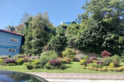 Zonguldak’ın taşı toprağı altın!