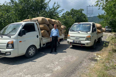 Fındık tüccarından üreticiye kritik uyarı!...