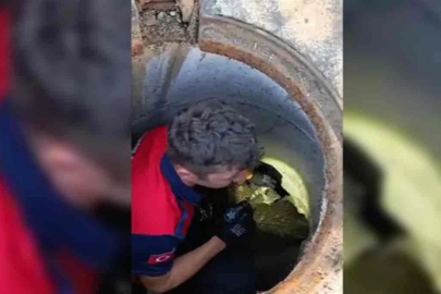 Rögara düşen kedi itfaiye ekibi tarafından kurtarıldı
