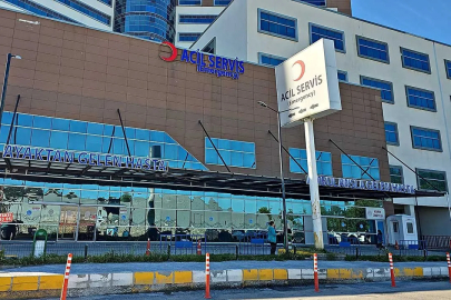 Zonguldak'ta Pitbull dehşeti!