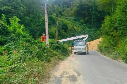 Zonguldak’ta tehlike oluşturan dallara müdahale!